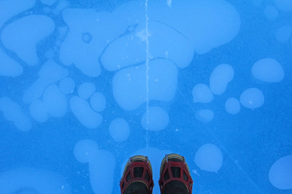 Glacier Tours
