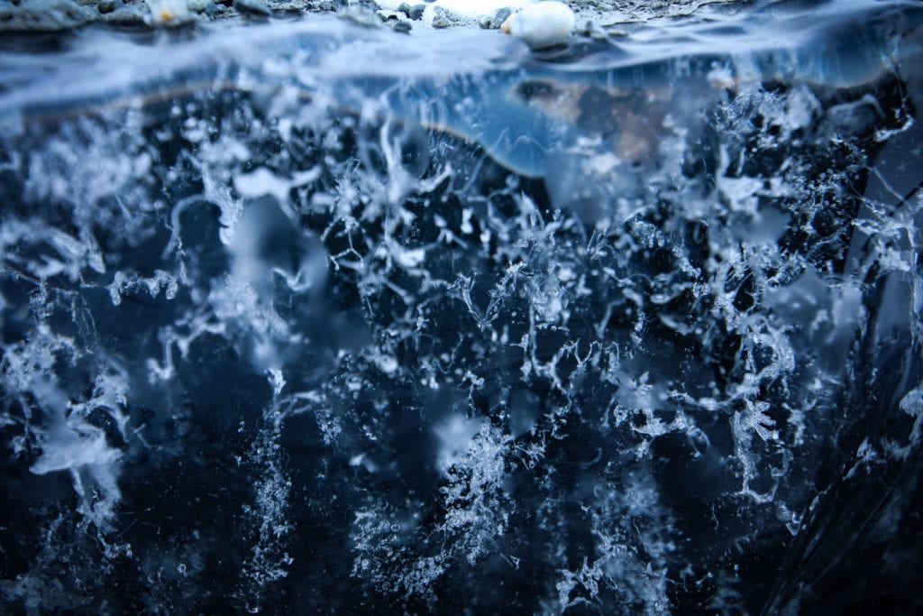 Glacier Tours